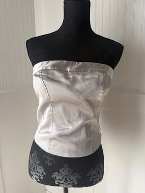 Wild fable Satin Strapless Bustier Top in Light Silver